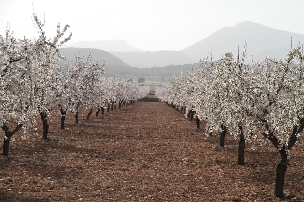 Alojamientos Rurales Cortijo Las Golondrinas Alhama de Murcia Exterior foto