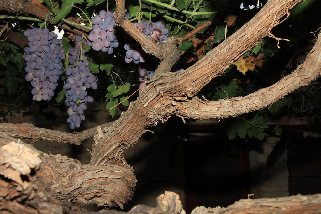 Alojamientos Rurales Cortijo Las Golondrinas Alhama de Murcia Exterior foto